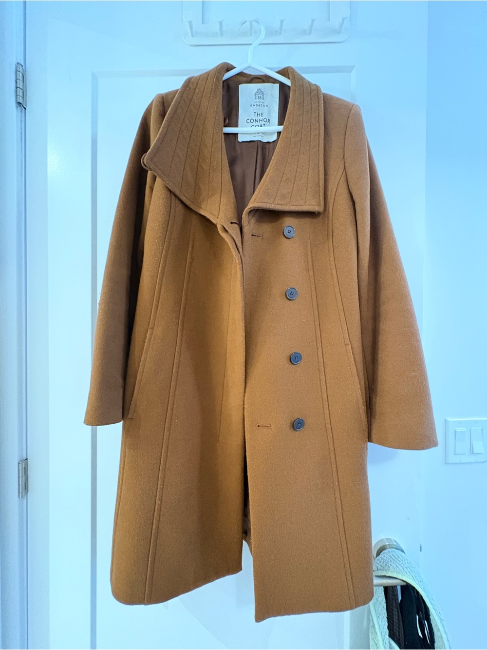 Aritzia Connor Coat